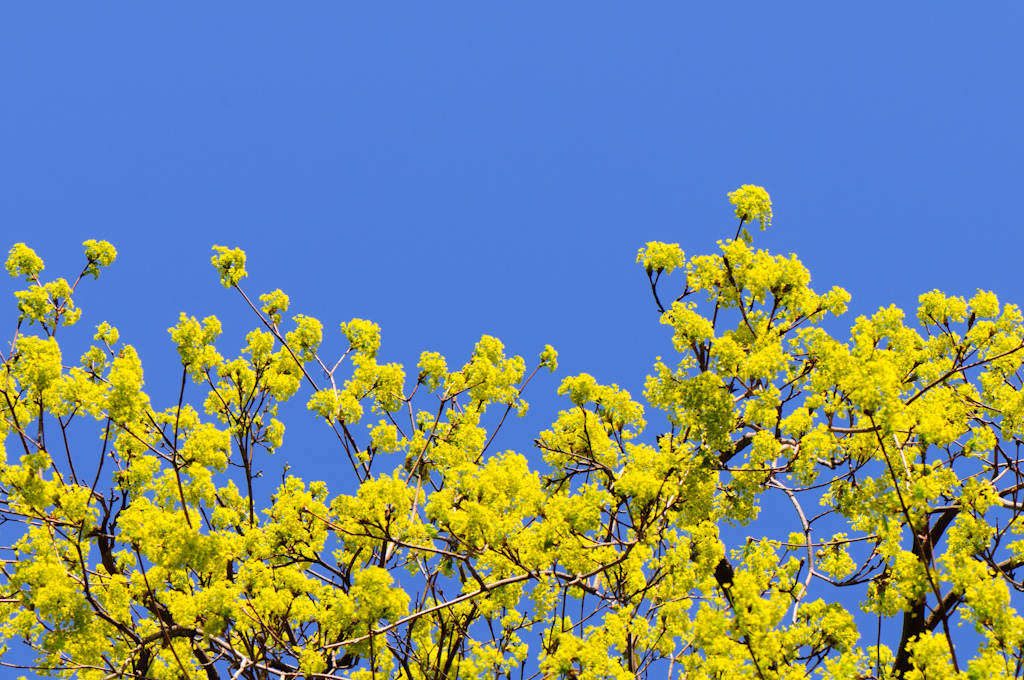 Image © from Flickr Creative Commons by EJP Photo