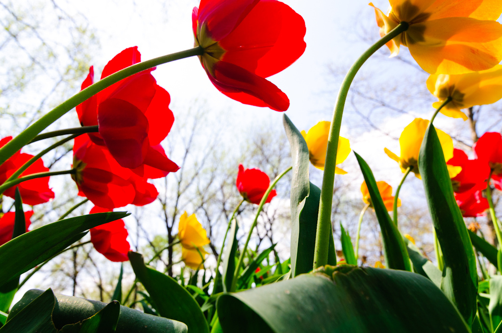 Image © from Flickr Creative Commons by EJP Photo