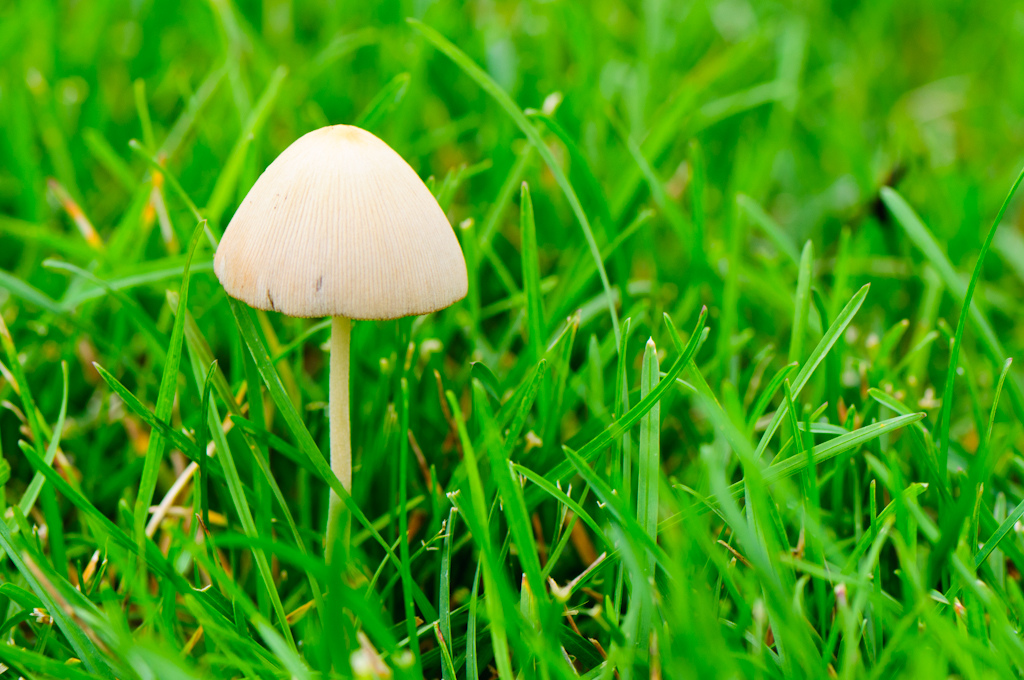 Image © from Flickr Creative Commons by EJP Photo